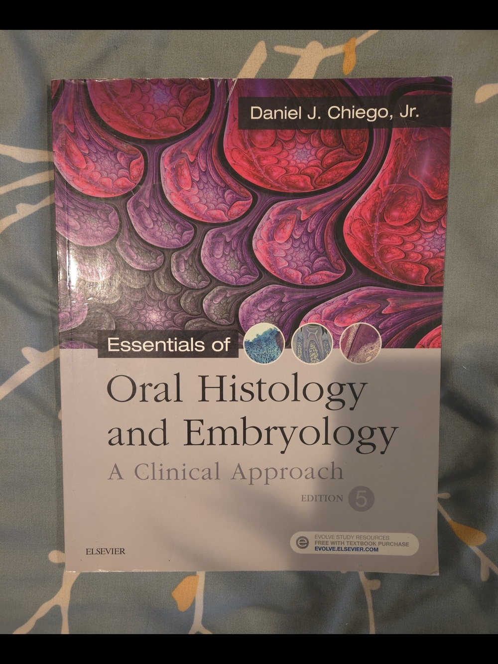 Essentials of Oral Histology and Embryology: A Clinical Approach (5th Edition)